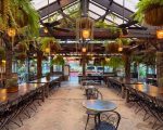 Dog friendly cafes