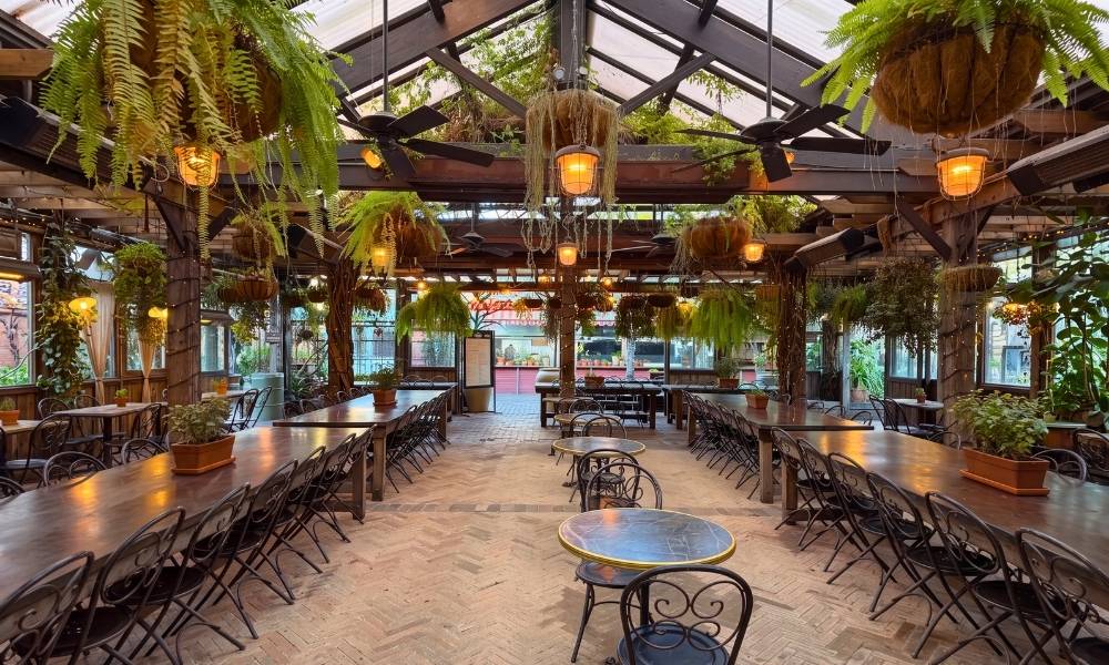 Sydney’s Best Dog Friendly Cafes and Restaurants